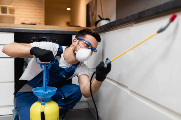 Best Pest Inspection Near Me  in Lordstown, OH