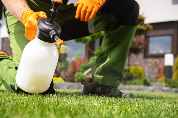 Best Emergency Pest Control  in Lordstown, OH