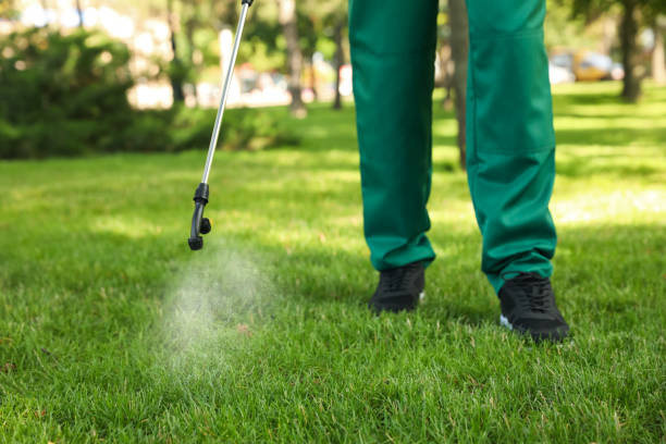 Best Rodent Control Near Me  in Lordstown, OH