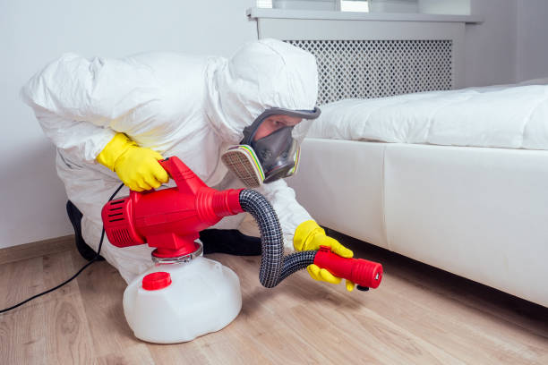 Best Residential Pest Control  in Lordstown, OH