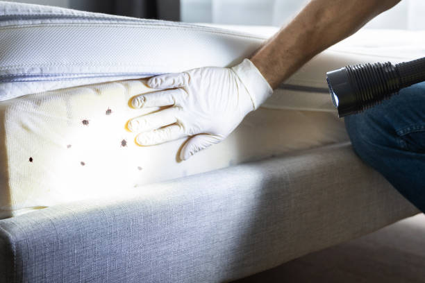 Best Pest Control for Homes  in Lordstown, OH
