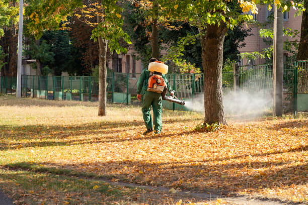 Best Mosquito Control Services  in Lordstown, OH
