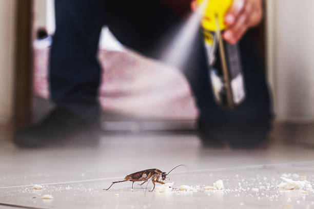 Best Best Pest Control Companies  in Lordstown, OH