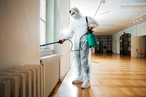 Best Affordable Pest Control Services  in Lordstown, OH