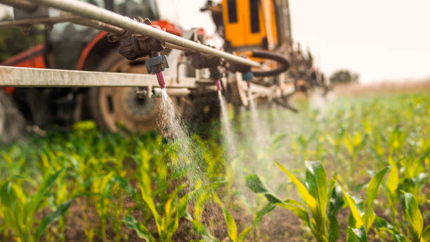Best Pest Removal Services  in Lordstown, OH
